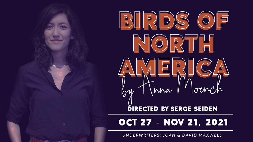 Birds of North America Promo Image