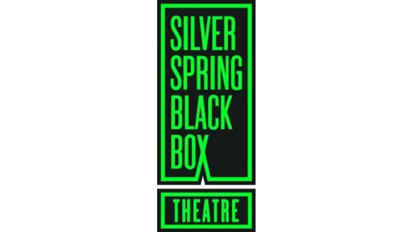 Silver Sprint Black Box logo