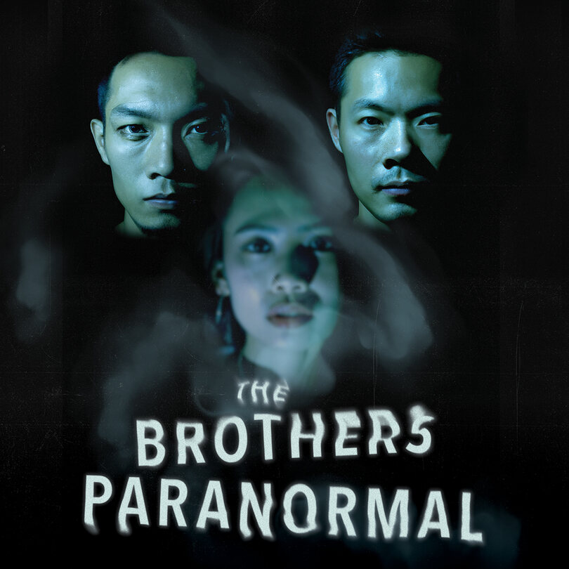 THE BROTHERS PARANORMAL