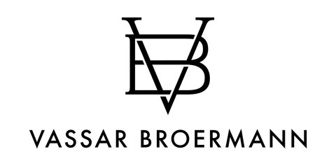 Stylized V and B Logo
